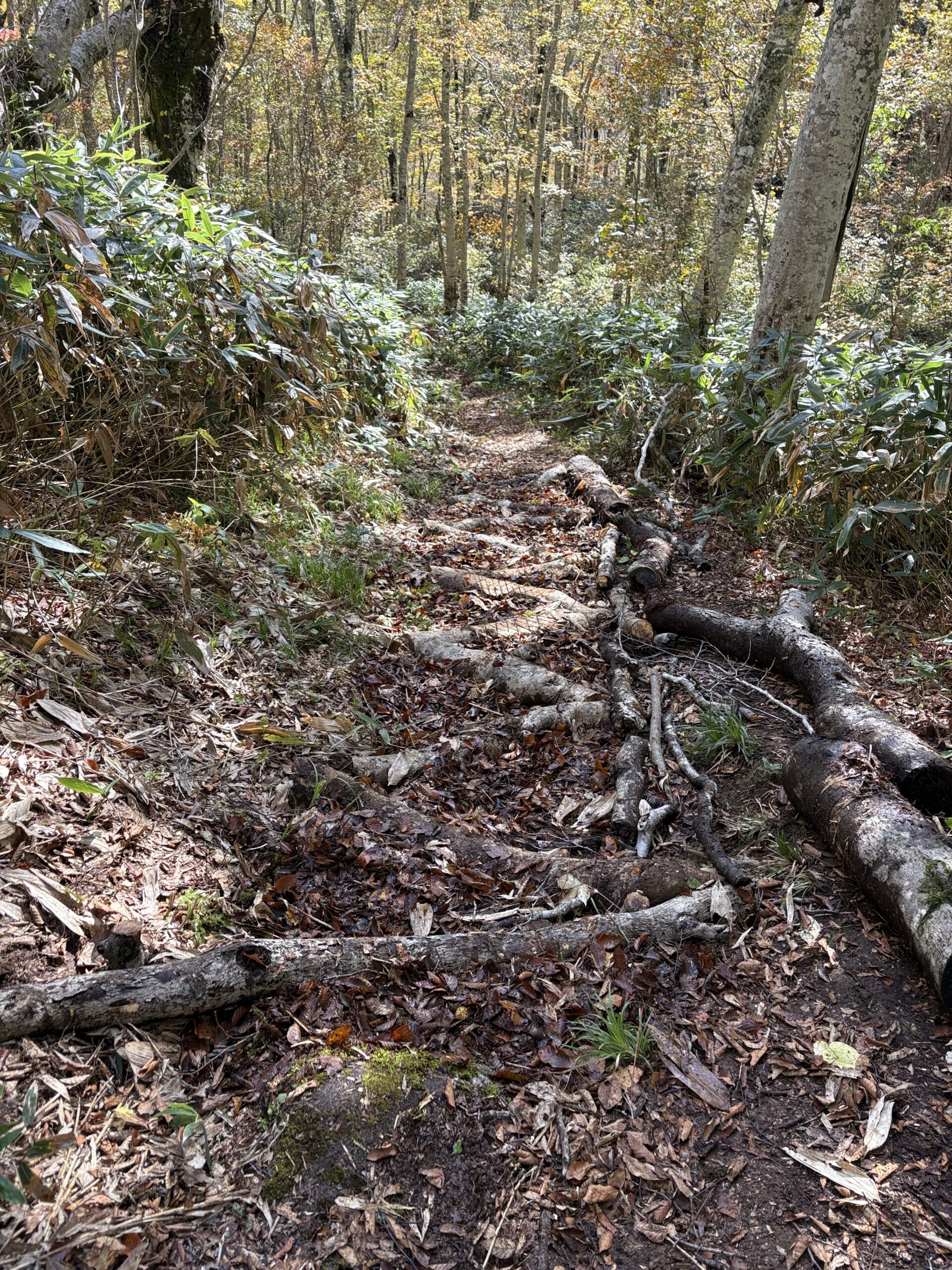 20251017_030303314_iOS