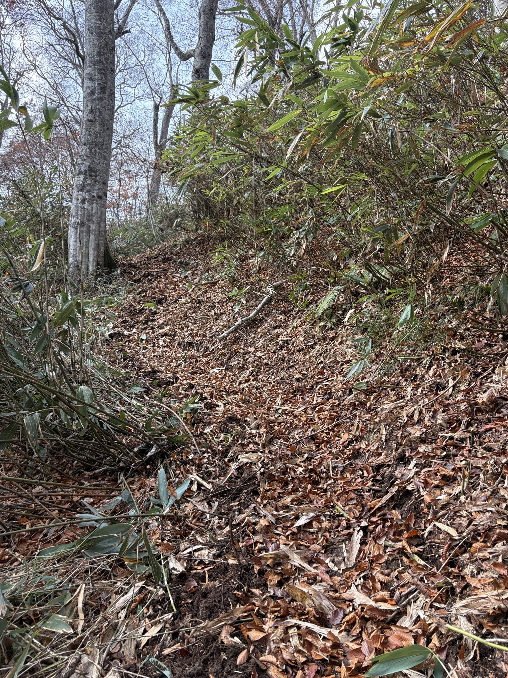 20251107_031908778_iOS